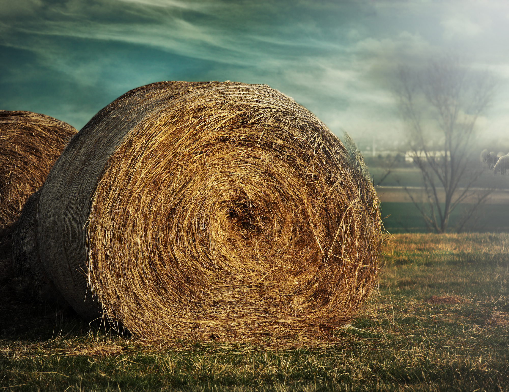 Landwirte erhalten Unterstützung beim Aufbau eines zusätzlichen Unternehmensstandbeins. Foto: Marianne J. / pixelio