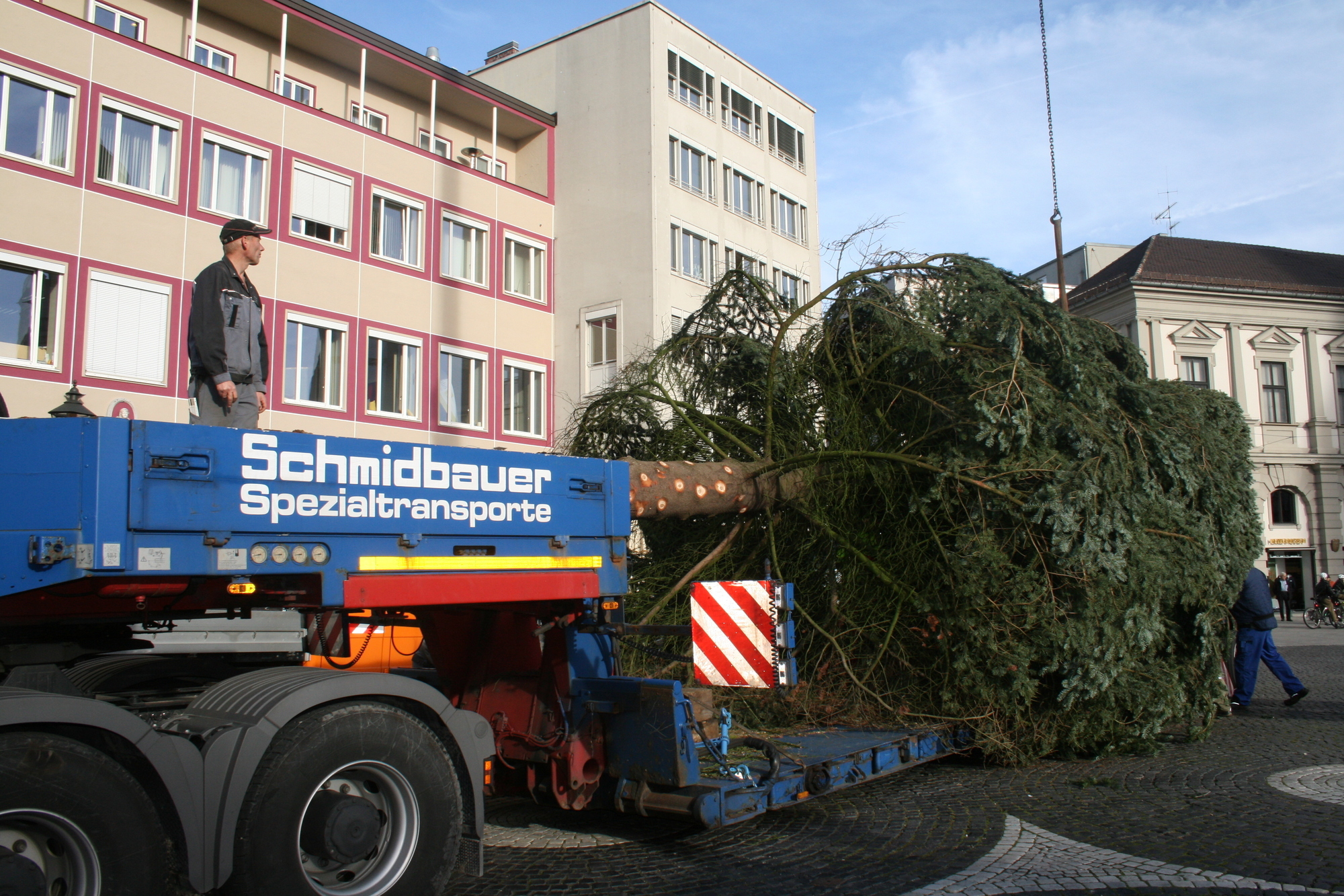 Seit heute Vormittag steht der Weihnachtsbaum am Augsburger Rathausplatz. Foto: B4B SCHWABEN