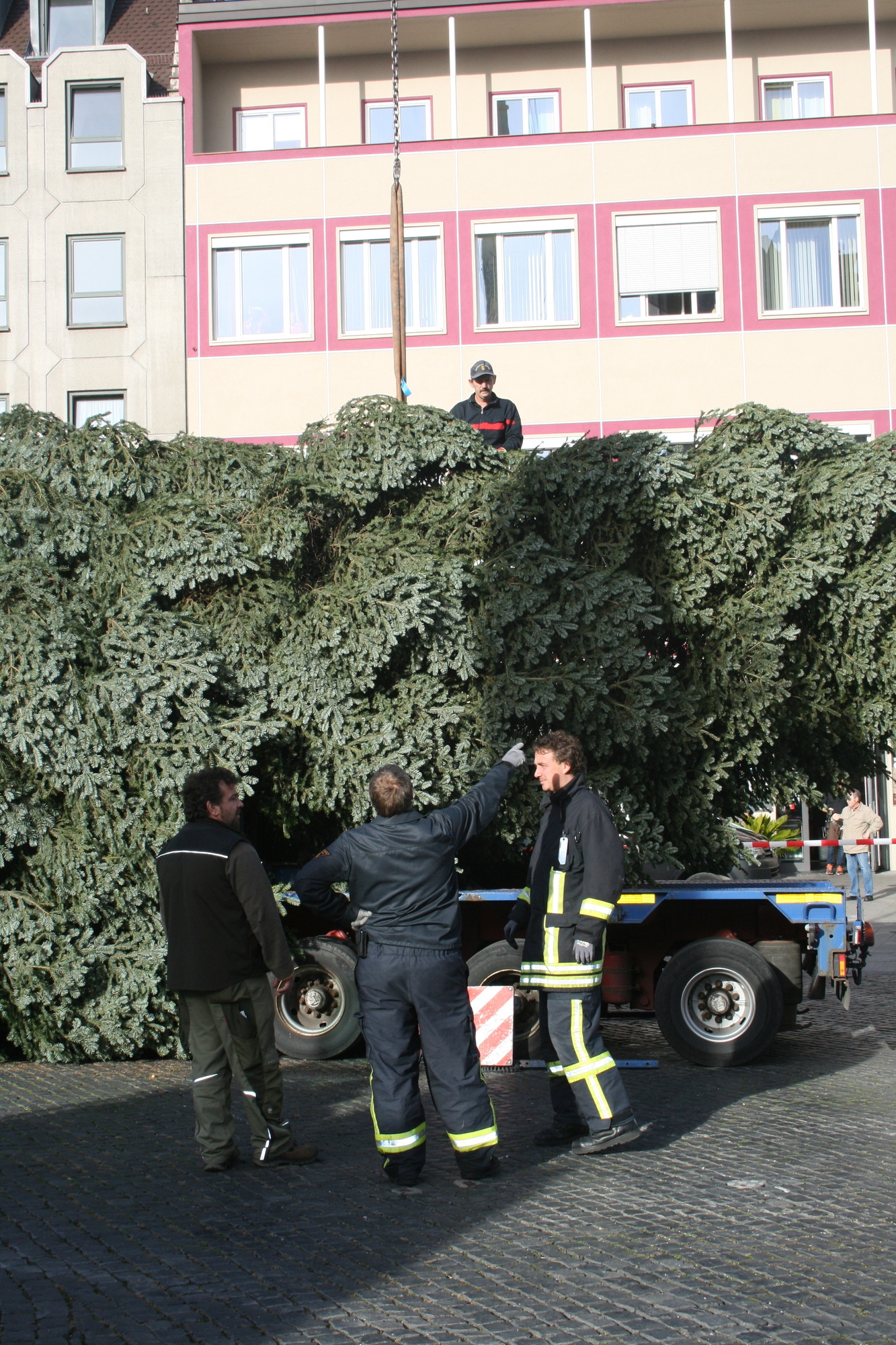 Seit heute Vormittag steht der Weihnachtsbaum am Augsburger Rathausplatz. Foto: B4B SCHWABEN