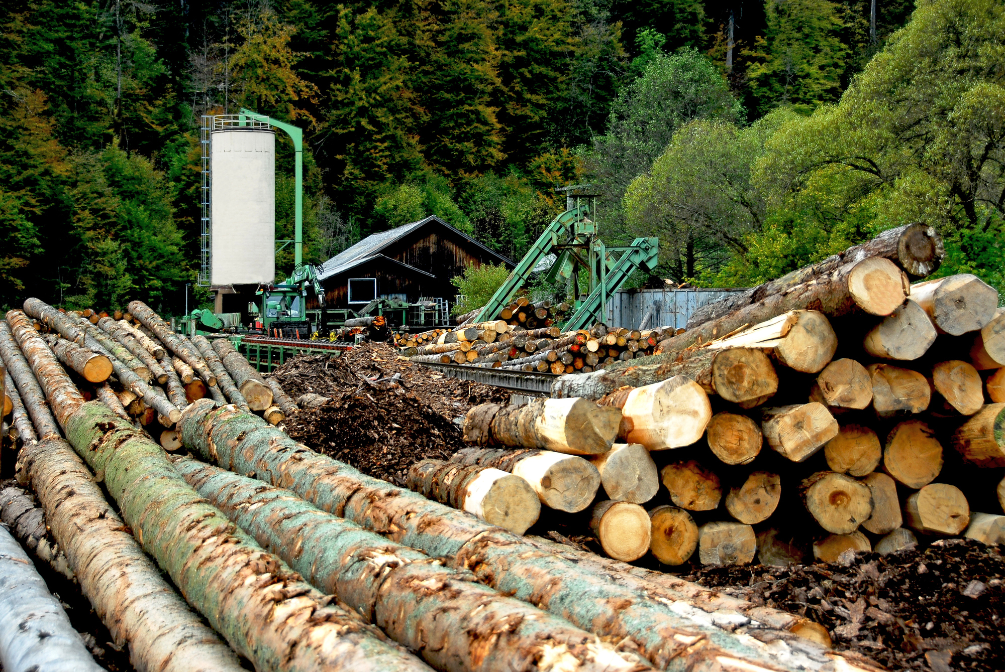 Die Holzwerke Waal wollen 2016 ihre Kapazitäten steigern. Symbolbild. Foto: H.D.Volz / pixelio.de