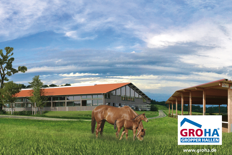 GROHA® Gropper Hallen GmbH