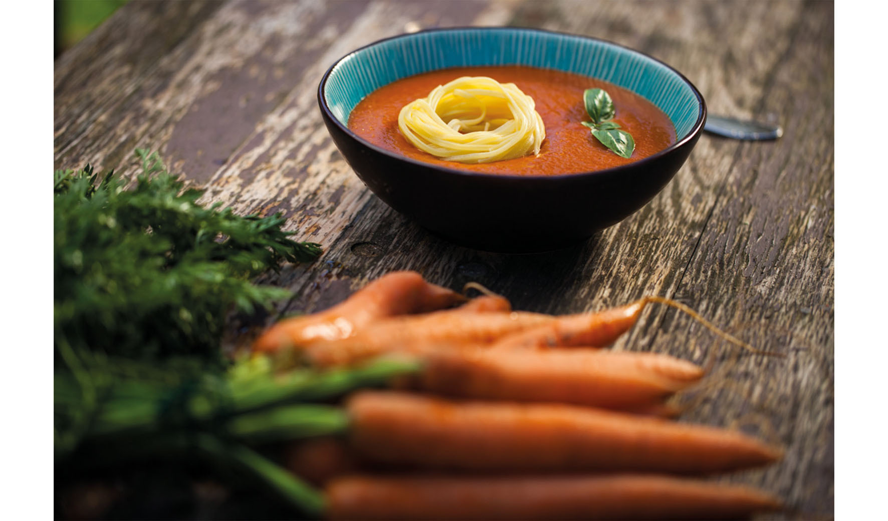 Little Lunch plant 20 Millionen Euro Umsatz für 2016. Foto: Little Lunch