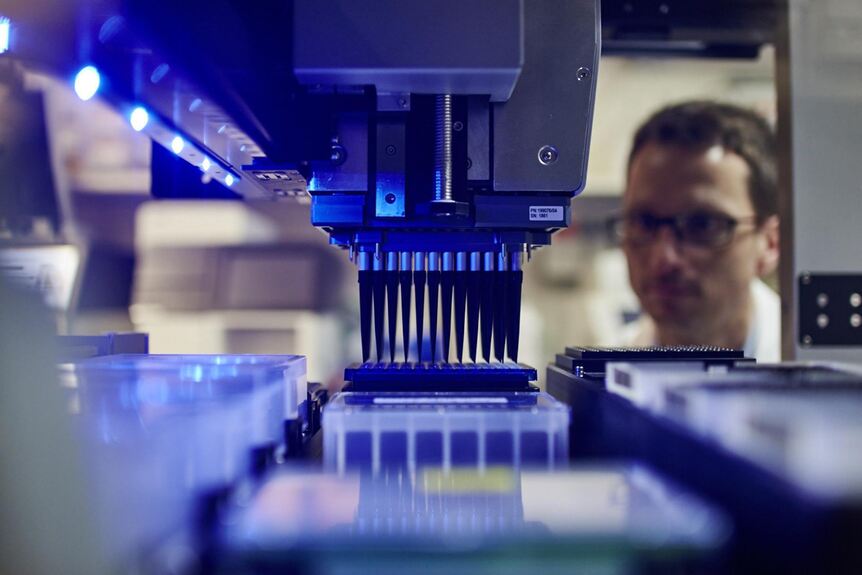 Biolago Projekt Erhalt Eu Forderung Fur Neue Diagnose Verfahren Lindau Bodenseeregion B4b Schwaben