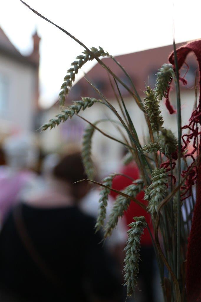 Eröfnungswochenende auf der Friedberger Zeit 2016. Foto: B4B WIRSCHAFTSLEBEN SCHWABEN