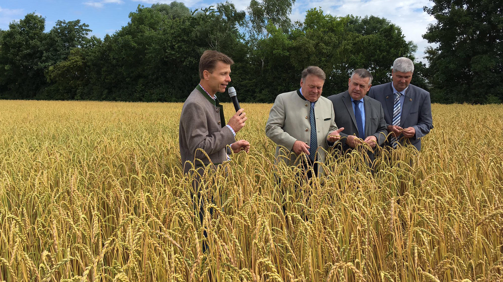 Andreas Hatzl, Staatsminister Helmut Brunner, BBV-Präsident Walter Heidl und BBV-Getreidepräsident Hermann Greif. Foto: BBV