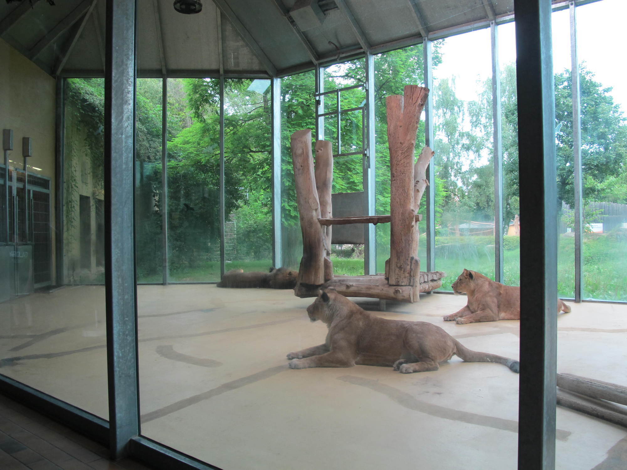 Das A3 Sommerfest fand am 21. Juli 2016 im Zoo Augsburg statt. Foto: B4B WIRTSCHAFTSLEBEN SCHWABEN