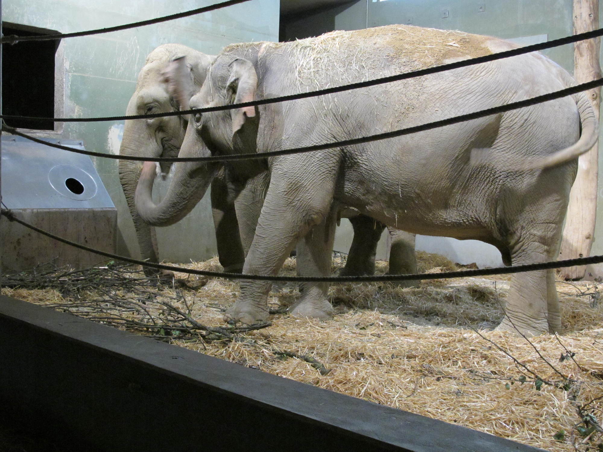 Das A3 Sommerfest fand am 21. Juli 2016 im Zoo Augsburg statt. Foto: B4B WIRTSCHAFTSLEBEN SCHWABEN