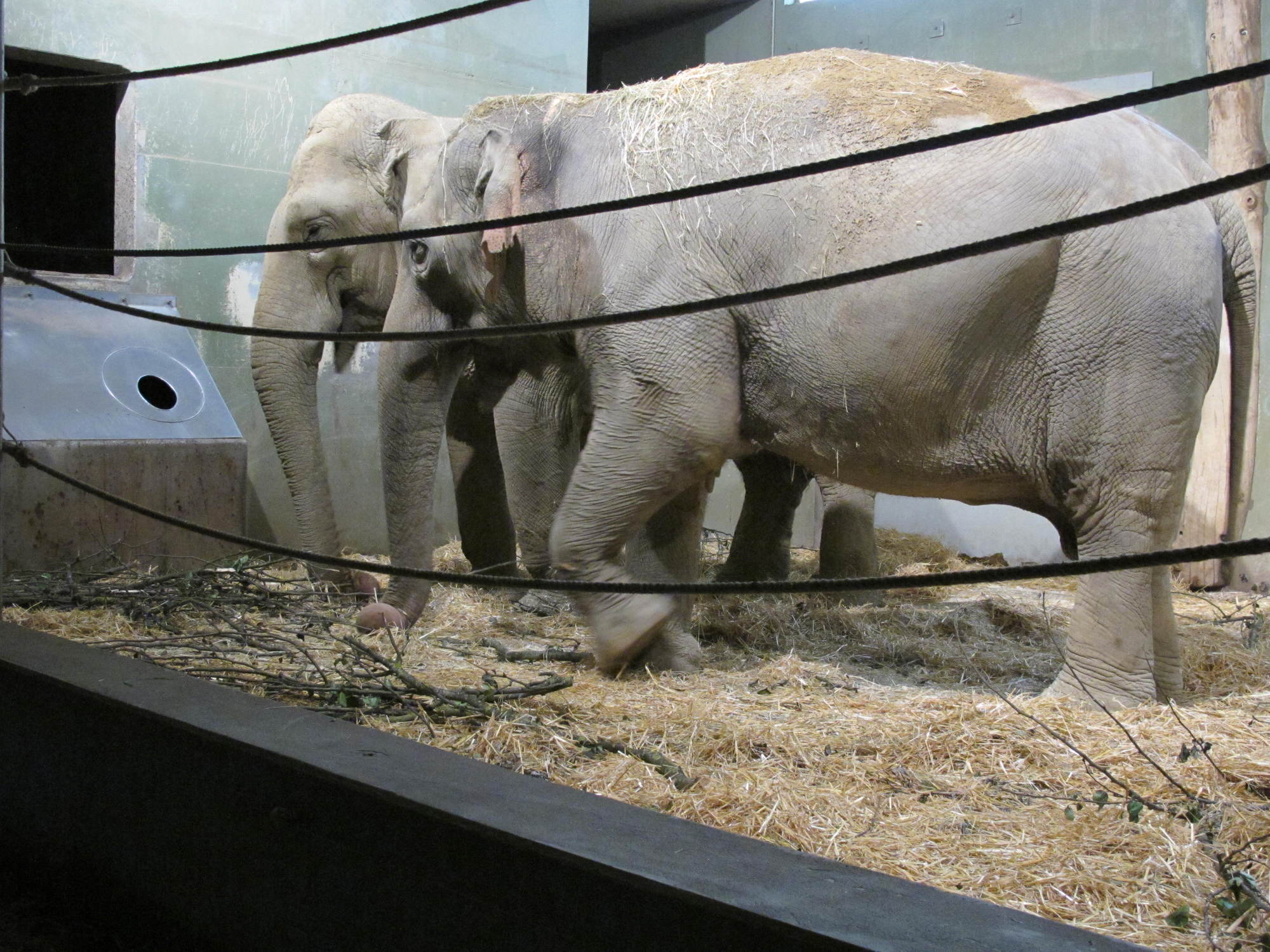 Das A3 Sommerfest fand am 21. Juli 2016 im Zoo Augsburg statt. Foto: B4B WIRTSCHAFTSLEBEN SCHWABEN