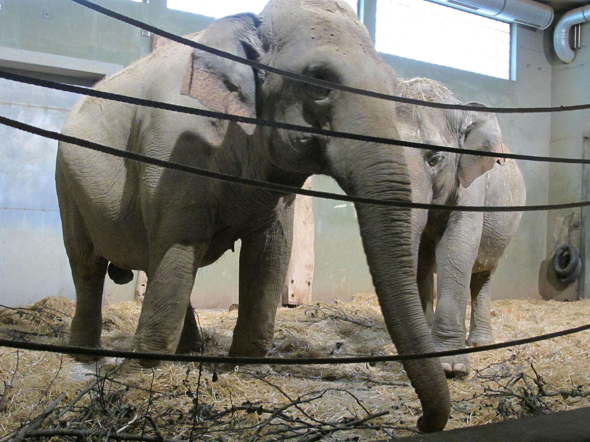 Das A3 Sommerfest fand am 21. Juli 2016 im Zoo Augsburg statt. Foto: B4B WIRTSCHAFTSLEBEN SCHWABEN