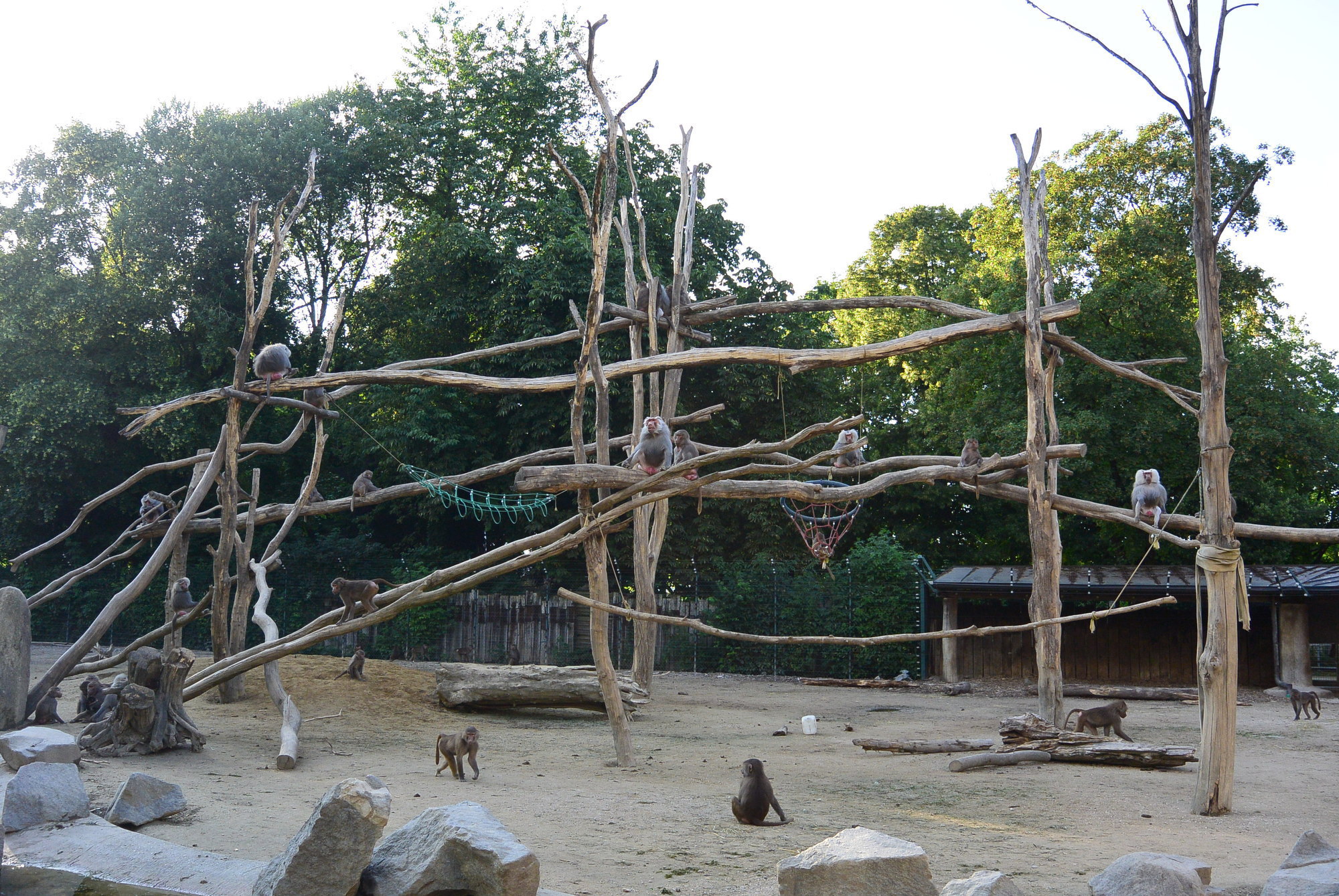 Das A3 Sommerfest fand am 21. Juli 2016 im Zoo Augsburg statt. Foto: B4B WIRTSCHAFTSLEBEN SCHWABEN