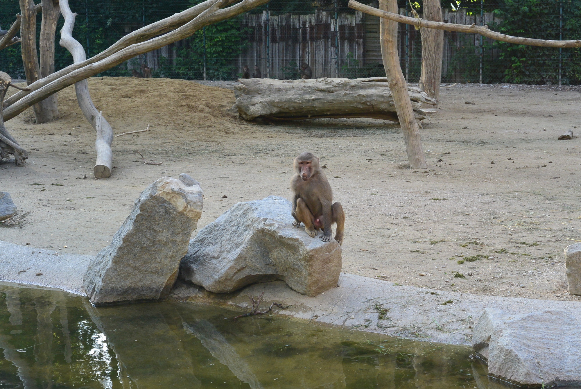 Das A3 Sommerfest fand am 21. Juli 2016 im Zoo Augsburg statt. Foto: B4B WIRTSCHAFTSLEBEN SCHWABEN