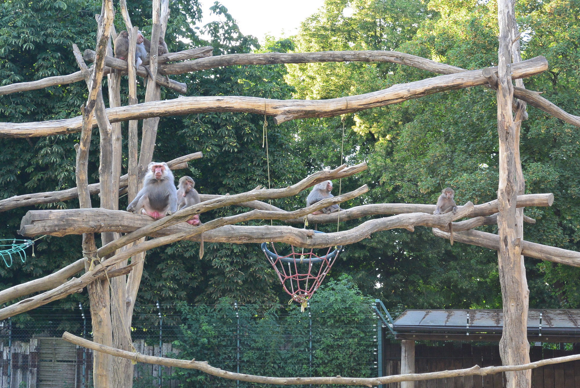Das A3 Sommerfest fand am 21. Juli 2016 im Zoo Augsburg statt. Foto: B4B WIRTSCHAFTSLEBEN SCHWABEN