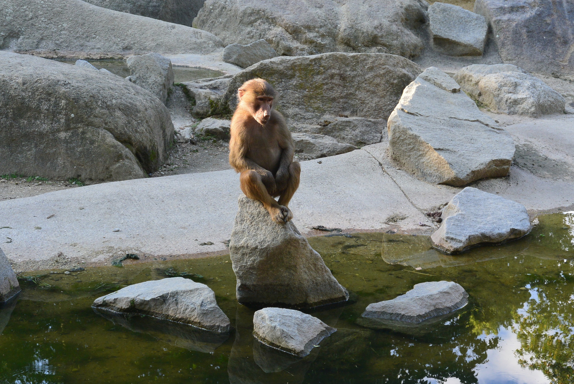 Das A3 Sommerfest fand am 21. Juli 2016 im Zoo Augsburg statt. Foto: B4B WIRTSCHAFTSLEBEN SCHWABEN