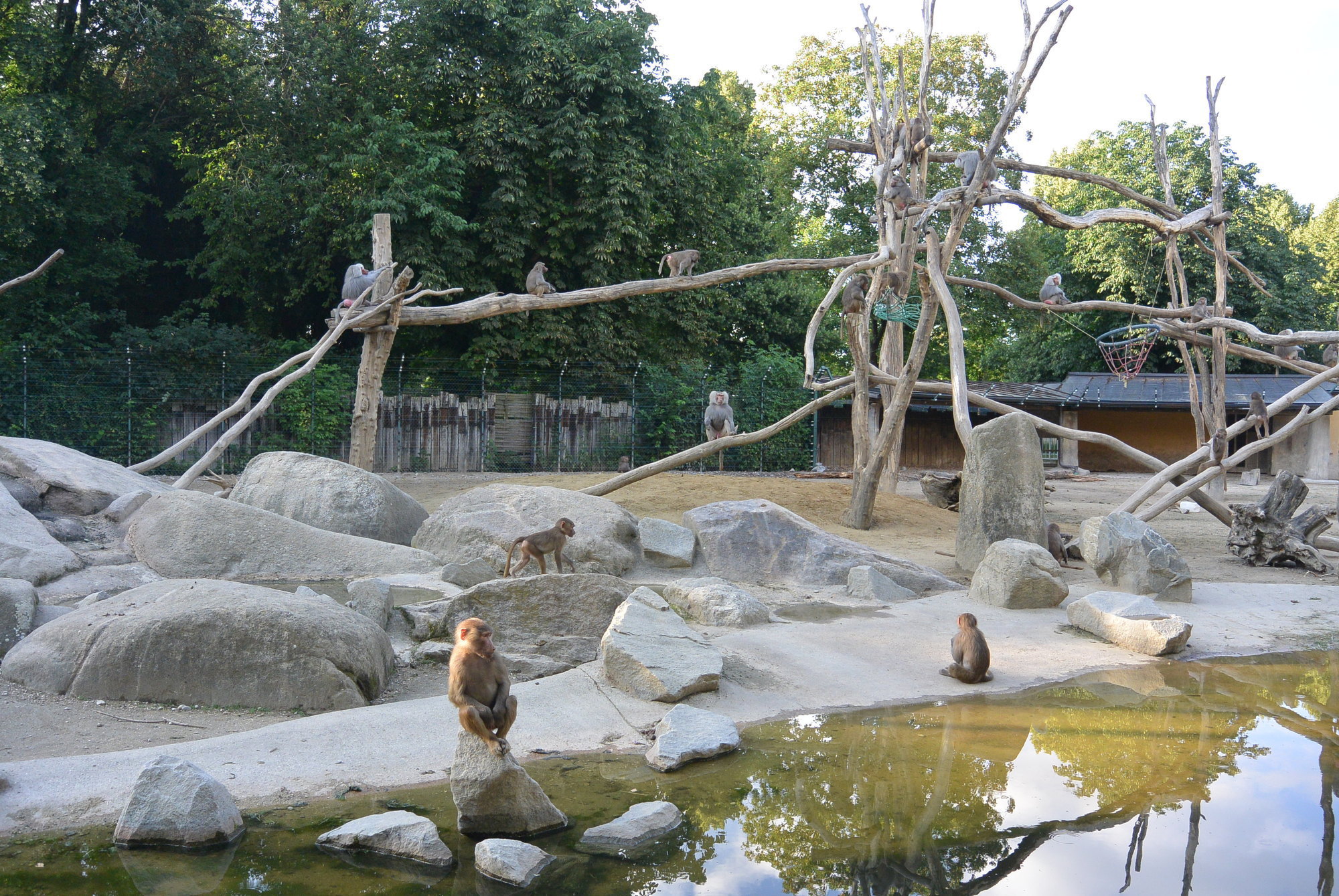 Das A3 Sommerfest fand am 21. Juli 2016 im Zoo Augsburg statt. Foto: B4B WIRTSCHAFTSLEBEN SCHWABEN