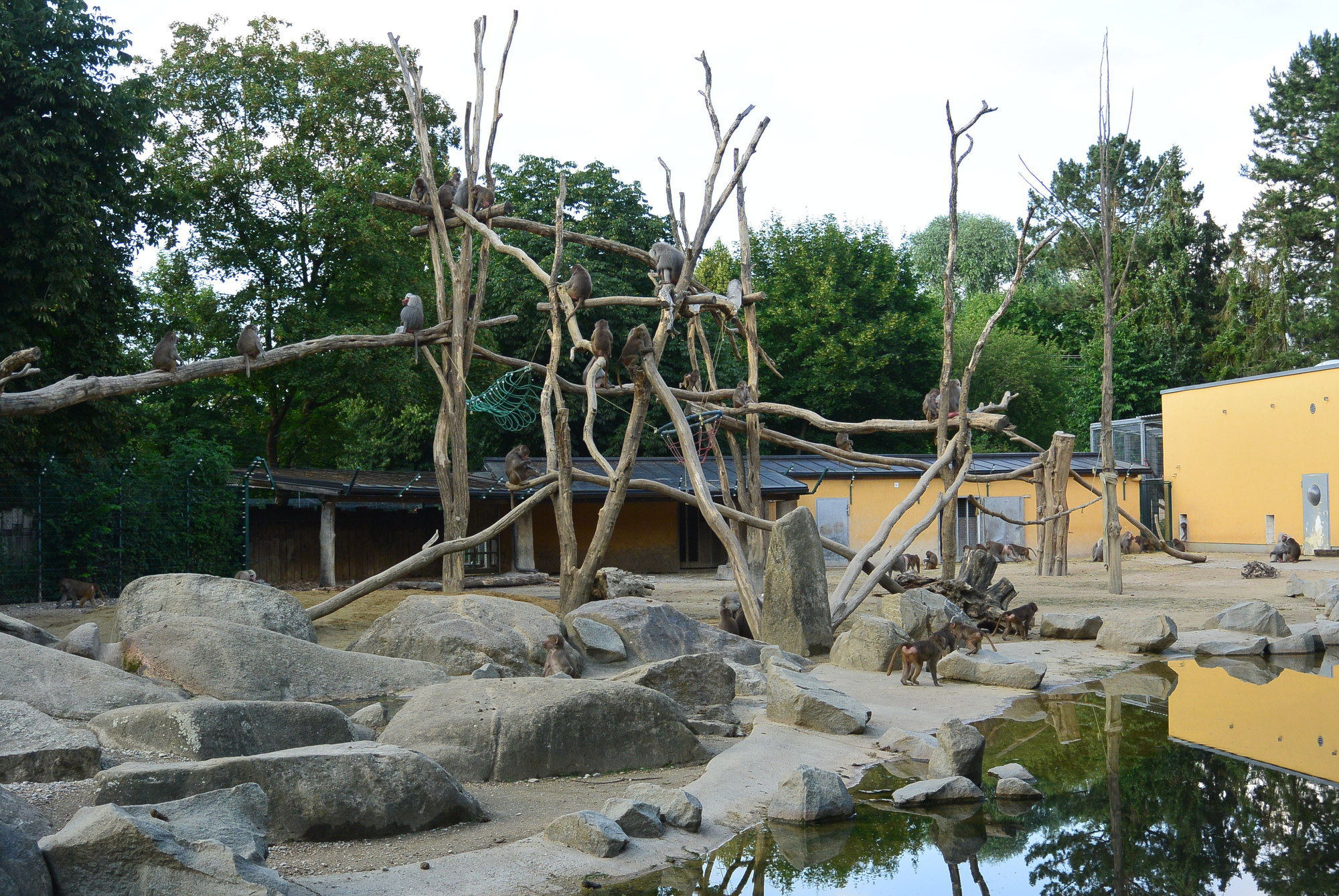 Das A3 Sommerfest fand am 21. Juli 2016 im Zoo Augsburg statt. Foto: B4B WIRTSCHAFTSLEBEN SCHWABEN