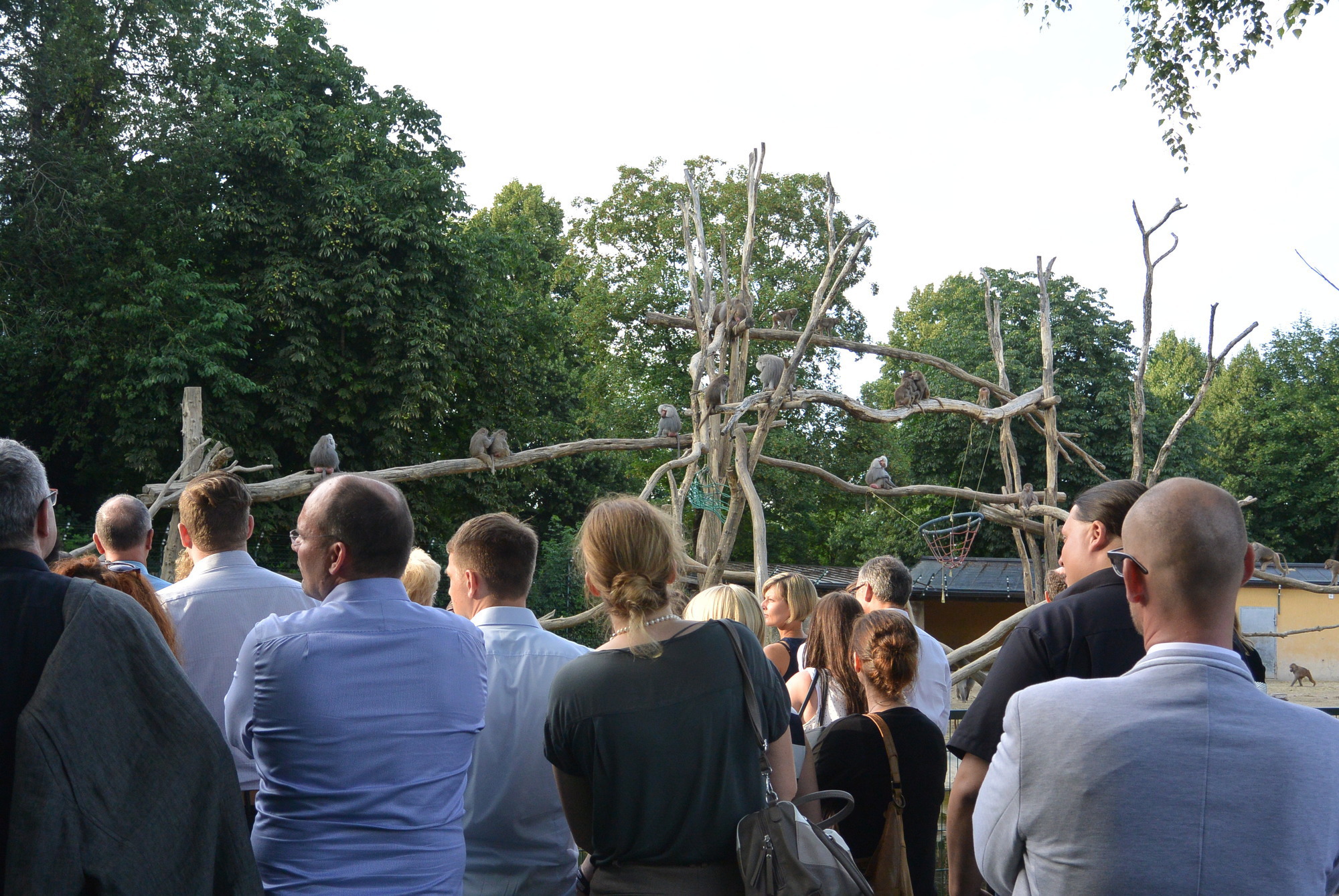 Das A3 Sommerfest fand am 21. Juli 2016 im Zoo Augsburg statt. Foto: B4B WIRTSCHAFTSLEBEN SCHWABEN