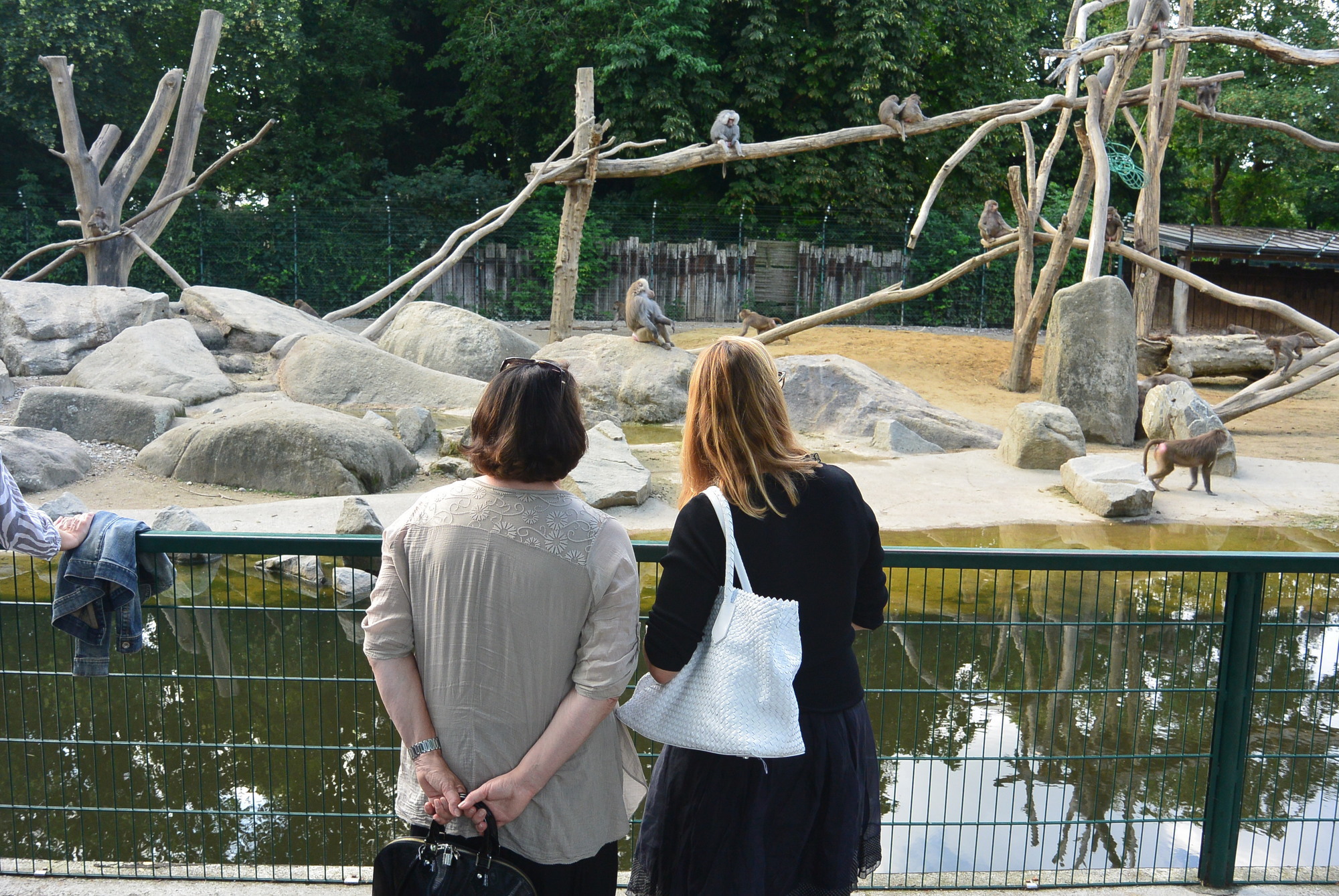 Das A3 Sommerfest fand am 21. Juli 2016 im Zoo Augsburg statt. Foto: B4B WIRTSCHAFTSLEBEN SCHWABEN