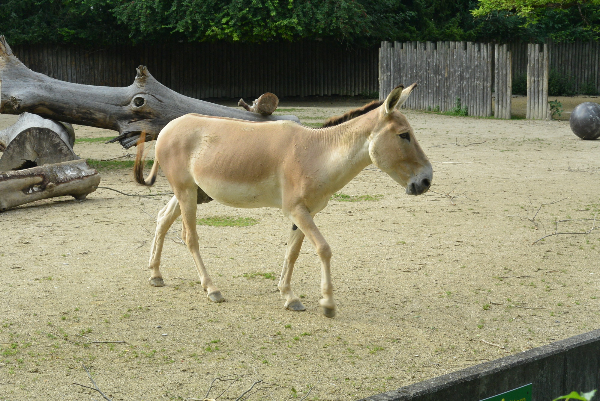 Das A3 Sommerfest fand am 21. Juli 2016 im Zoo Augsburg statt. Foto: B4B WIRTSCHAFTSLEBEN SCHWABEN
