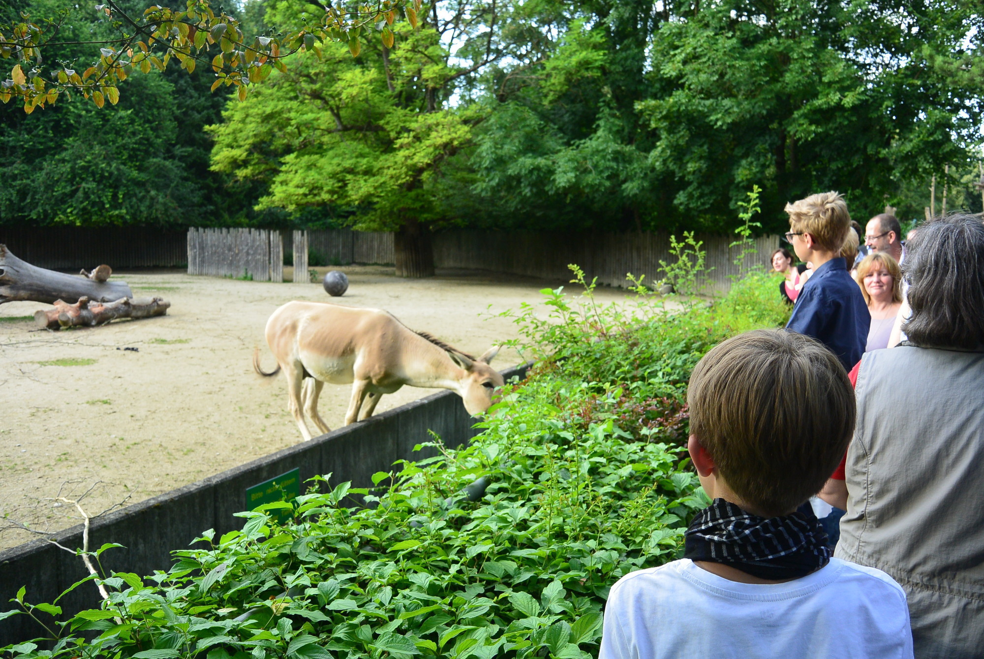 Das A3 Sommerfest fand am 21. Juli 2016 im Zoo Augsburg statt. Foto: B4B WIRTSCHAFTSLEBEN SCHWABEN