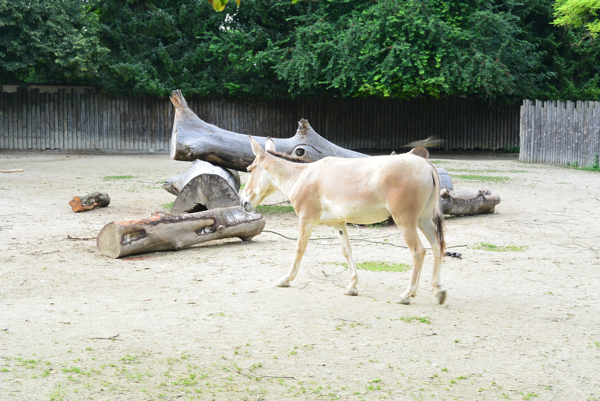 Das A3 Sommerfest fand am 21. Juli 2016 im Zoo Augsburg statt. Foto: B4B WIRTSCHAFTSLEBEN SCHWABEN
