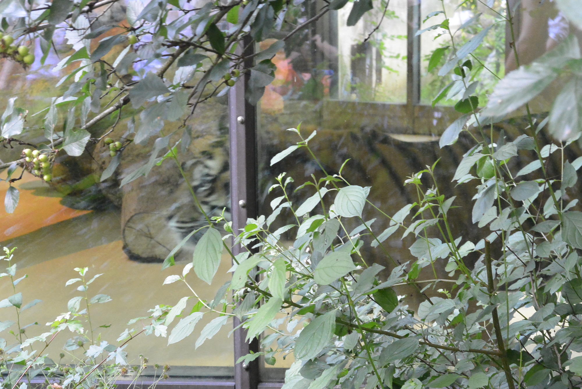 Das A3 Sommerfest fand am 21. Juli 2016 im Zoo Augsburg statt. Foto: B4B WIRTSCHAFTSLEBEN SCHWABEN