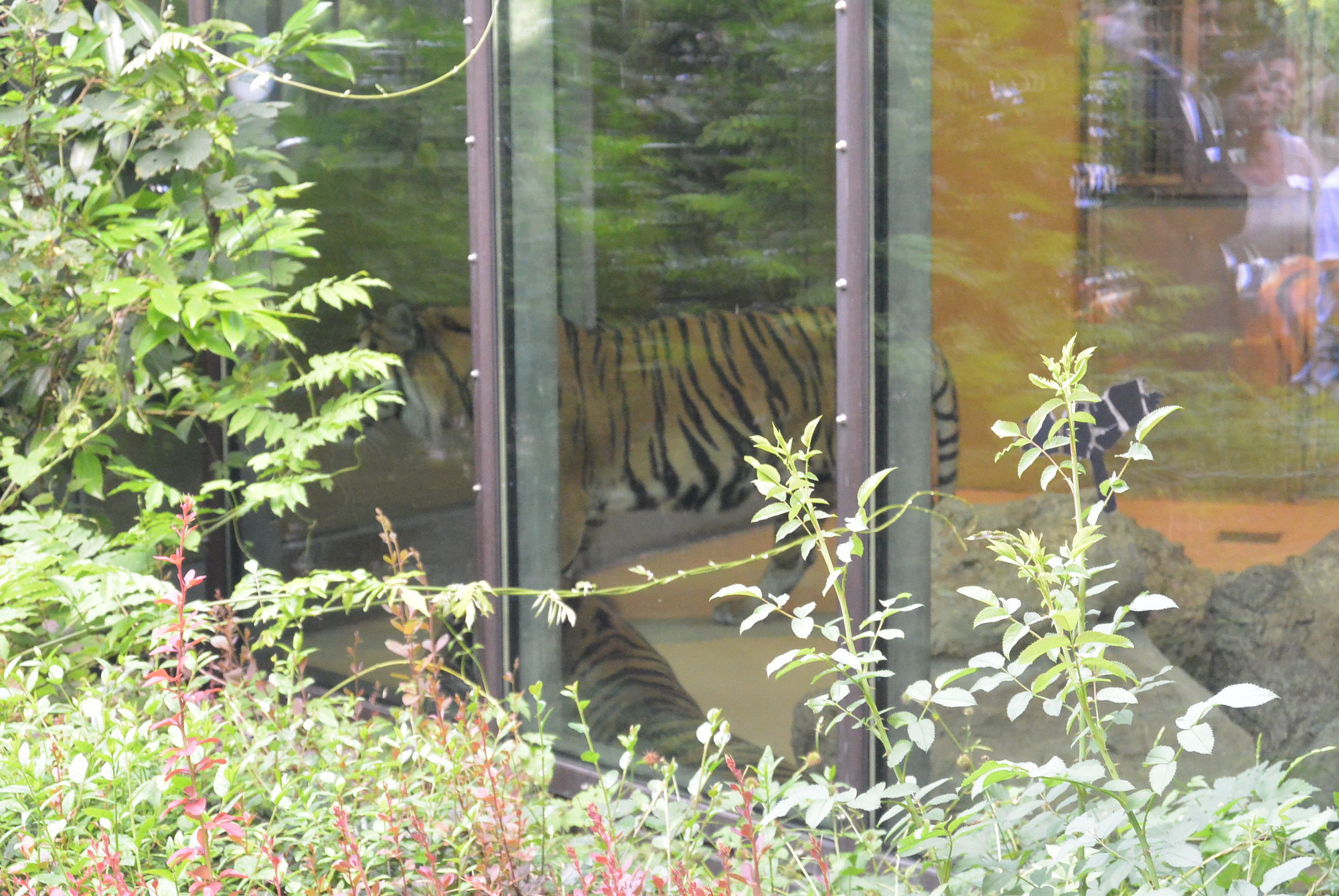 Das A3 Sommerfest fand am 21. Juli 2016 im Zoo Augsburg statt. Foto: B4B WIRTSCHAFTSLEBEN SCHWABEN