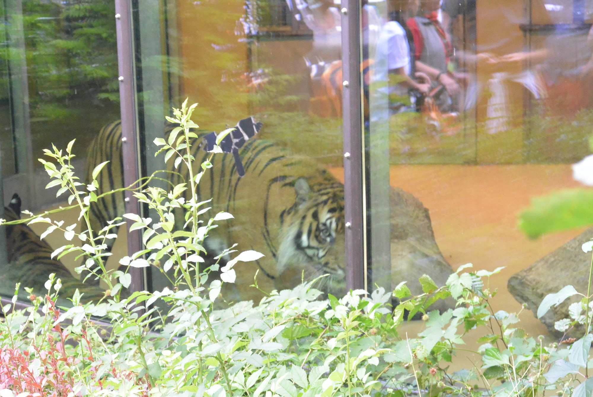 Das A3 Sommerfest fand am 21. Juli 2016 im Zoo Augsburg statt. Foto: B4B WIRTSCHAFTSLEBEN SCHWABEN