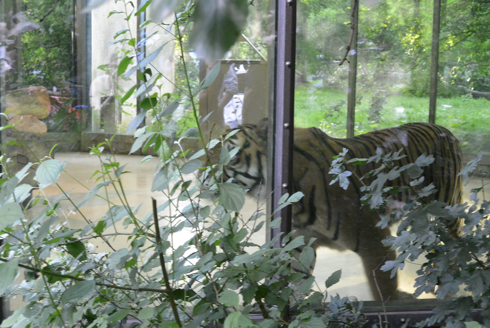 Das A3 Sommerfest fand am 21. Juli 2016 im Zoo Augsburg statt. Foto: B4B WIRTSCHAFTSLEBEN SCHWABEN