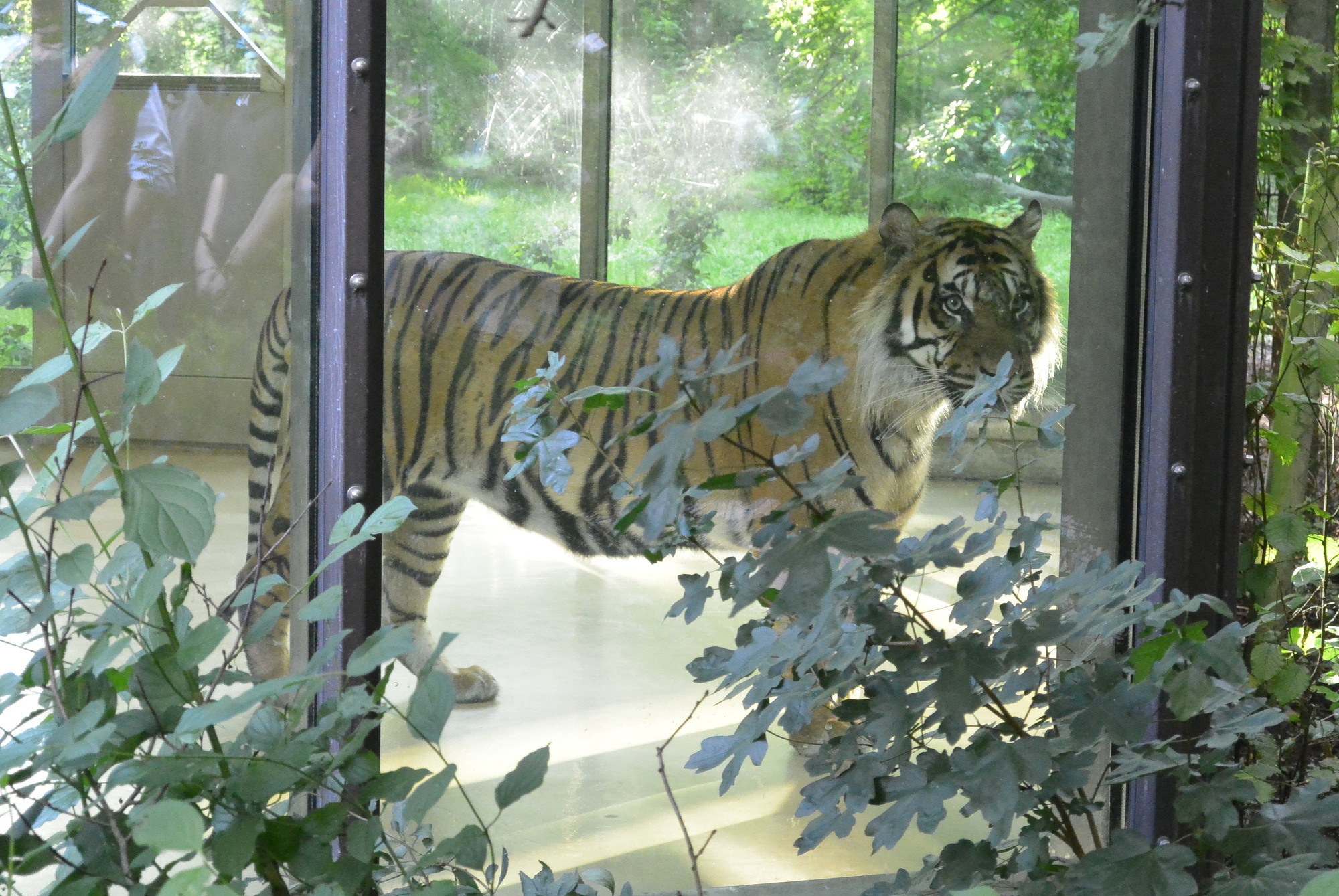 Das A3 Sommerfest fand am 21. Juli 2016 im Zoo Augsburg statt. Foto: B4B WIRTSCHAFTSLEBEN SCHWABEN
