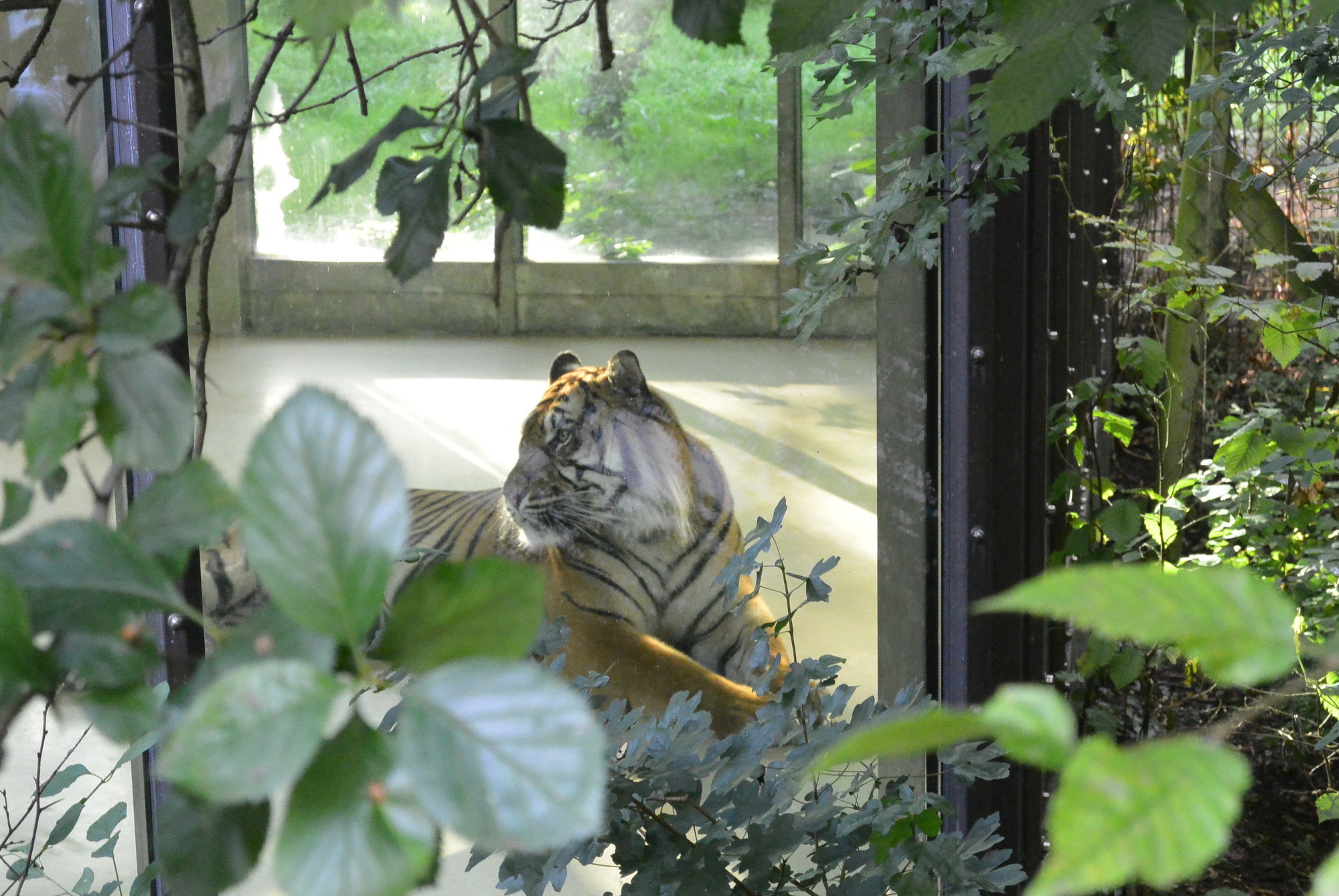 Das A3 Sommerfest fand am 21. Juli 2016 im Zoo Augsburg statt. Foto: B4B WIRTSCHAFTSLEBEN SCHWABEN