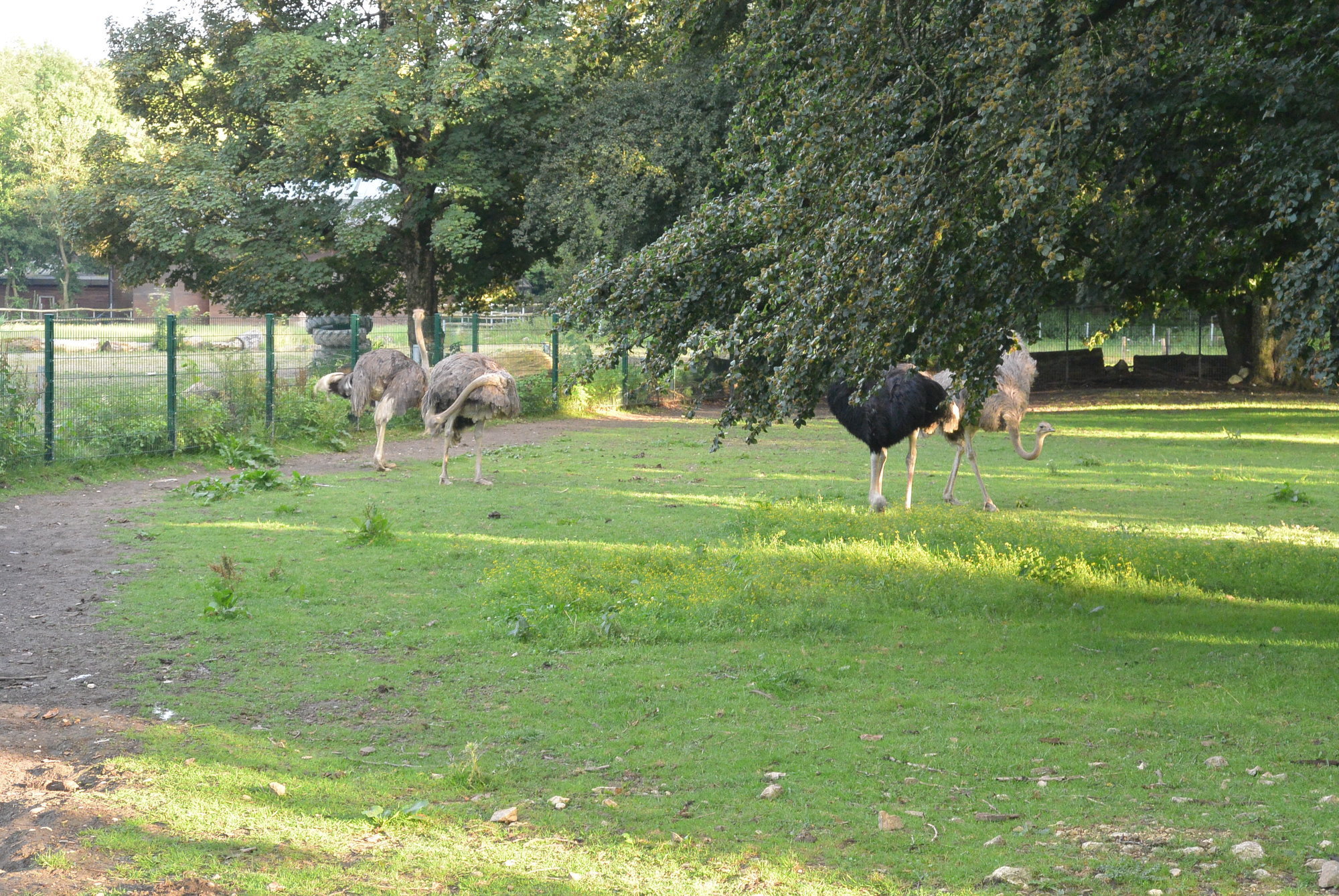 Das A3 Sommerfest fand am 21. Juli 2016 im Zoo Augsburg statt. Foto: B4B WIRTSCHAFTSLEBEN SCHWABEN