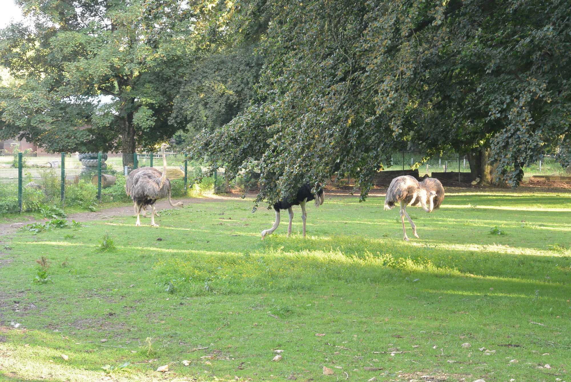 Das A3 Sommerfest fand am 21. Juli 2016 im Zoo Augsburg statt. Foto: B4B WIRTSCHAFTSLEBEN SCHWABEN