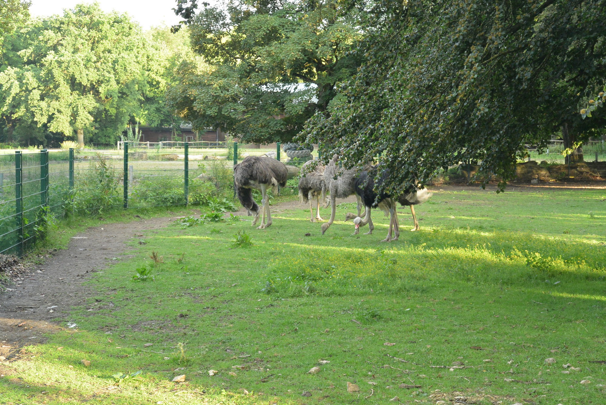 Das A3 Sommerfest fand am 21. Juli 2016 im Zoo Augsburg statt. Foto: B4B WIRTSCHAFTSLEBEN SCHWABEN