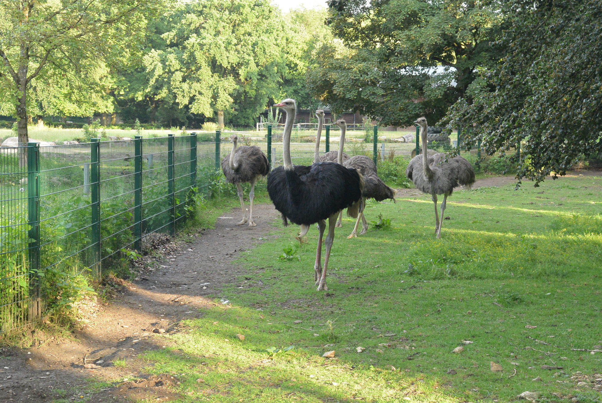 Das A3 Sommerfest fand am 21. Juli 2016 im Zoo Augsburg statt. Foto: B4B WIRTSCHAFTSLEBEN SCHWABEN