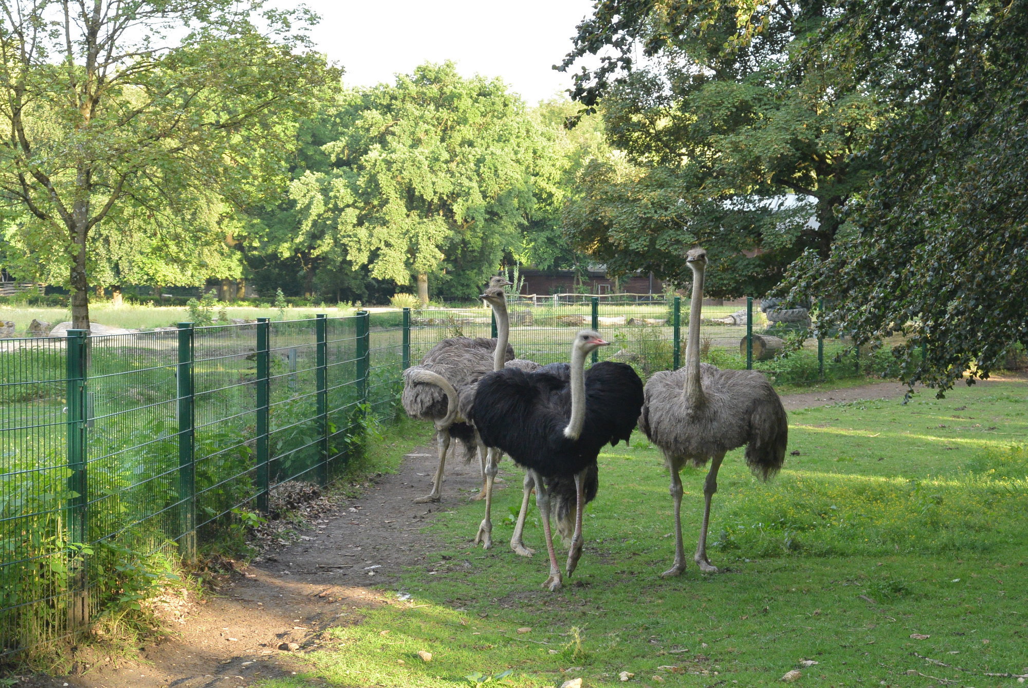 Das A3 Sommerfest fand am 21. Juli 2016 im Zoo Augsburg statt. Foto: B4B WIRTSCHAFTSLEBEN SCHWABEN