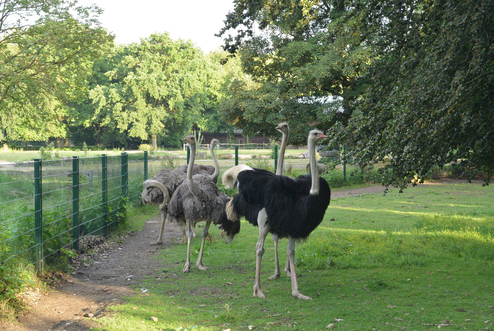 Das A3 Sommerfest fand am 21. Juli 2016 im Zoo Augsburg statt. Foto: B4B WIRTSCHAFTSLEBEN SCHWABEN