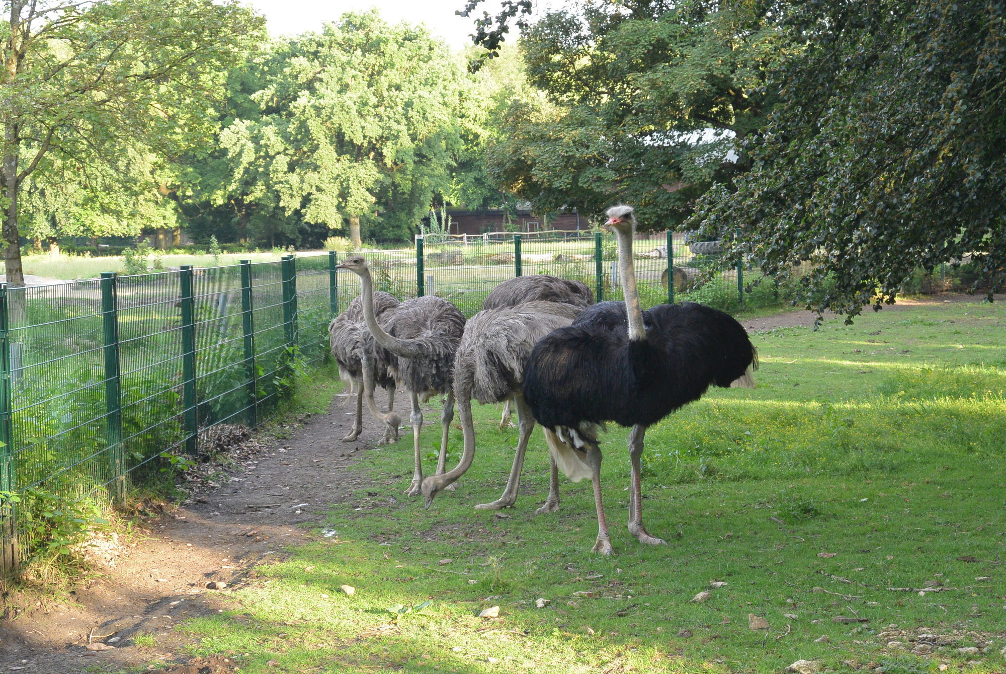 Das A3 Sommerfest fand am 21. Juli 2016 im Zoo Augsburg statt. Foto: B4B WIRTSCHAFTSLEBEN SCHWABEN