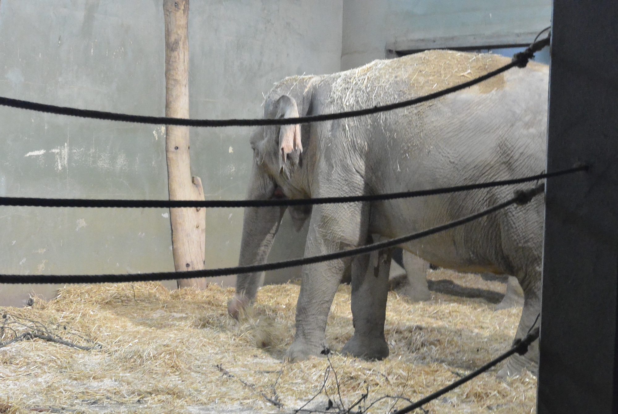 Das A3 Sommerfest fand am 21. Juli 2016 im Zoo Augsburg statt. Foto: B4B WIRTSCHAFTSLEBEN SCHWABEN
