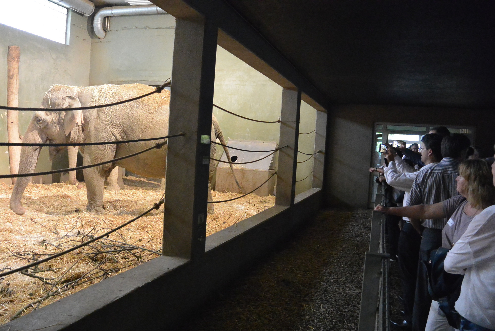 Das A3 Sommerfest fand am 21. Juli 2016 im Zoo Augsburg statt. Foto: B4B WIRTSCHAFTSLEBEN SCHWABEN