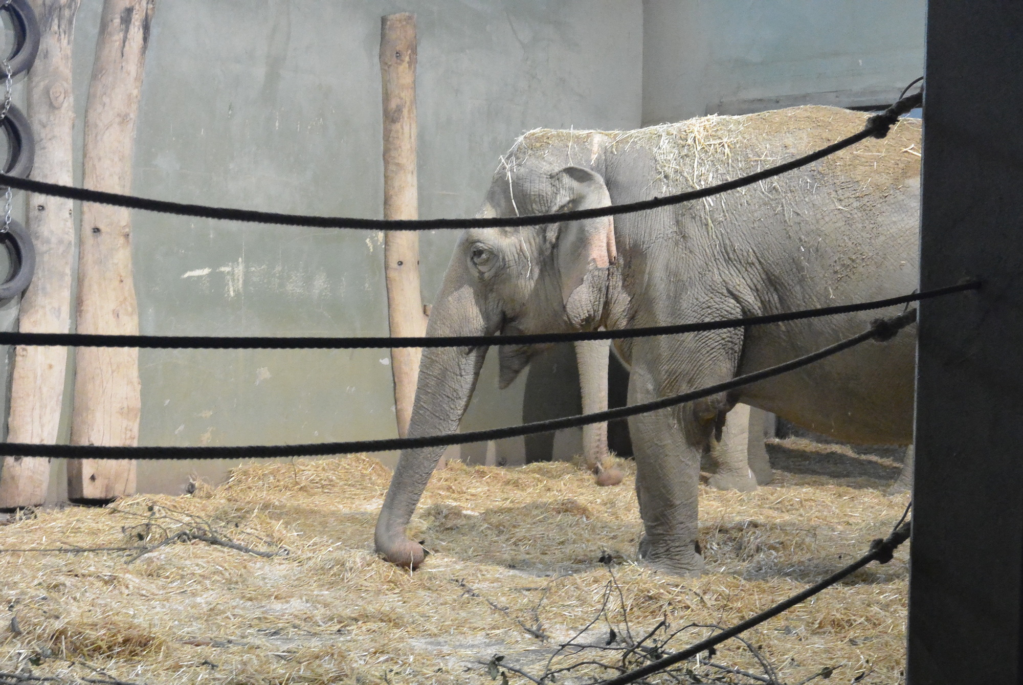Das A3 Sommerfest fand am 21. Juli 2016 im Zoo Augsburg statt. Foto: B4B WIRTSCHAFTSLEBEN SCHWABEN