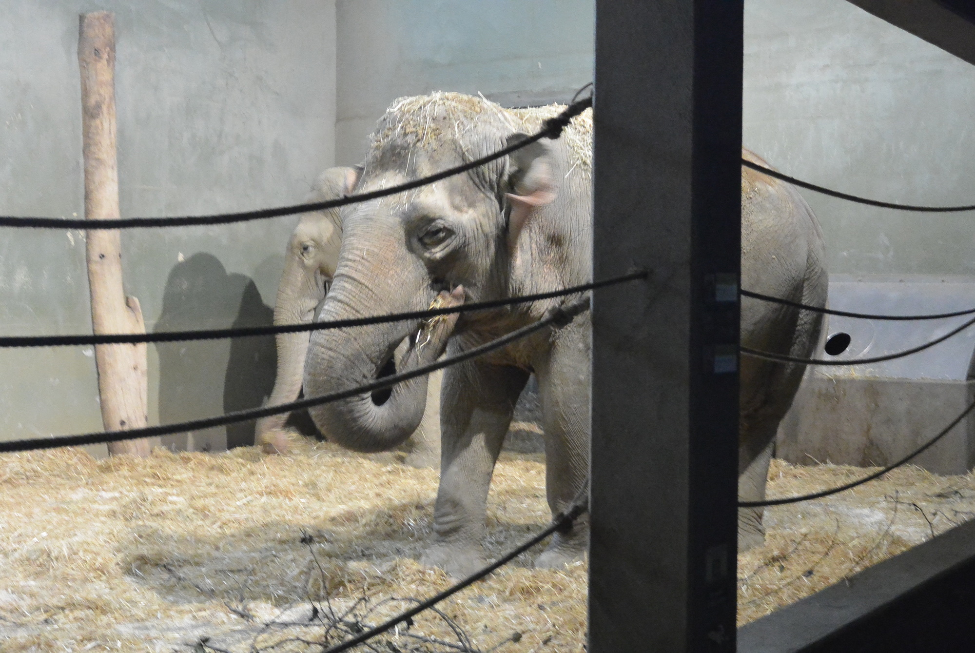 Das A3 Sommerfest fand am 21. Juli 2016 im Zoo Augsburg statt. Foto: B4B WIRTSCHAFTSLEBEN SCHWABEN