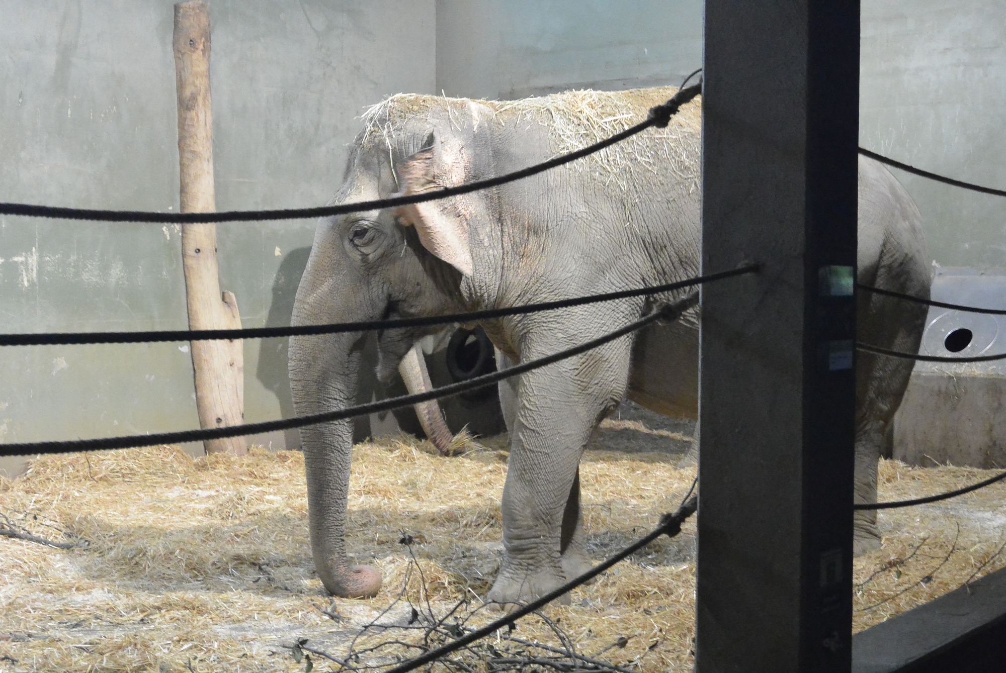 Das A3 Sommerfest fand am 21. Juli 2016 im Zoo Augsburg statt. Foto: B4B WIRTSCHAFTSLEBEN SCHWABEN