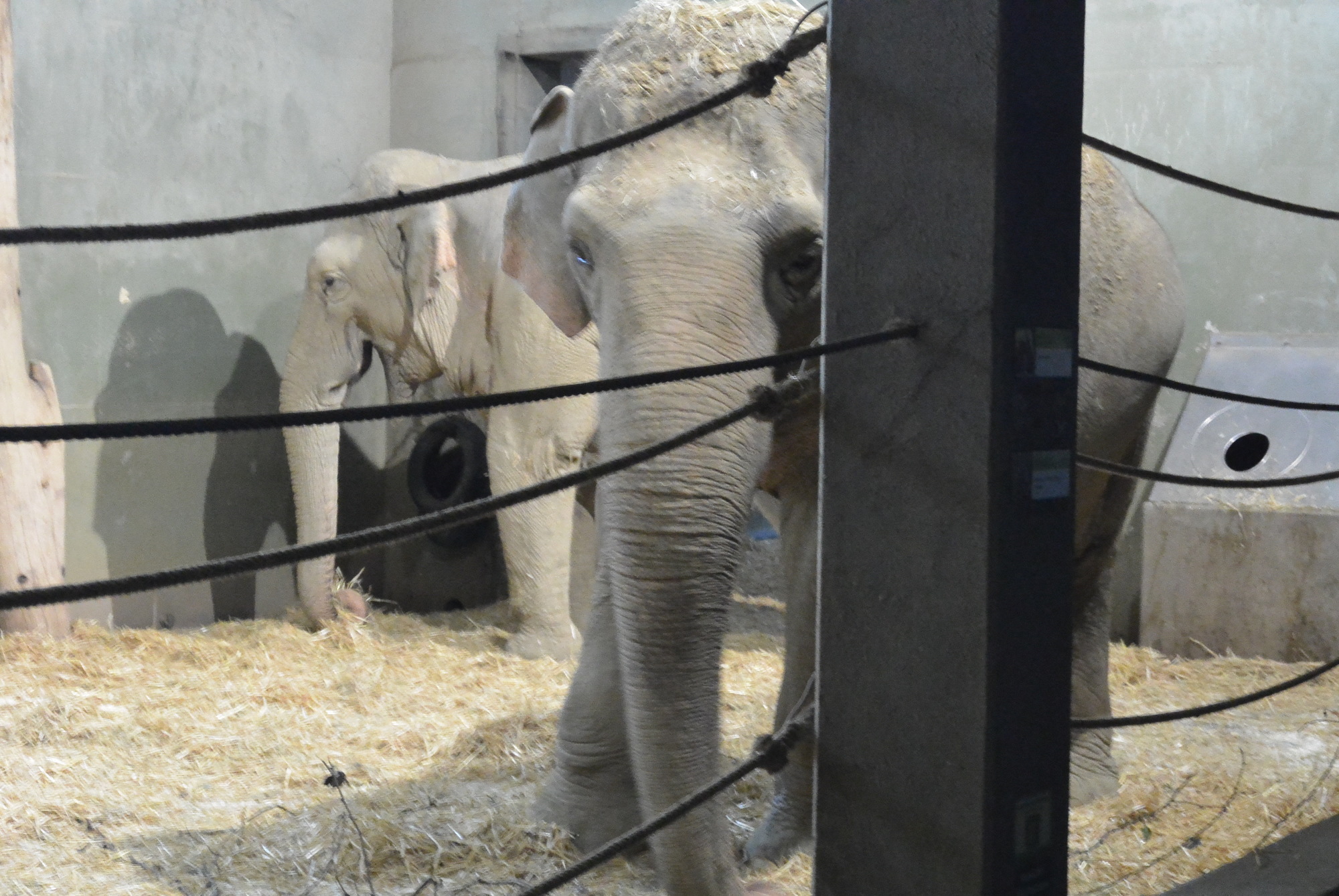 Das A3 Sommerfest fand am 21. Juli 2016 im Zoo Augsburg statt. Foto: B4B WIRTSCHAFTSLEBEN SCHWABEN