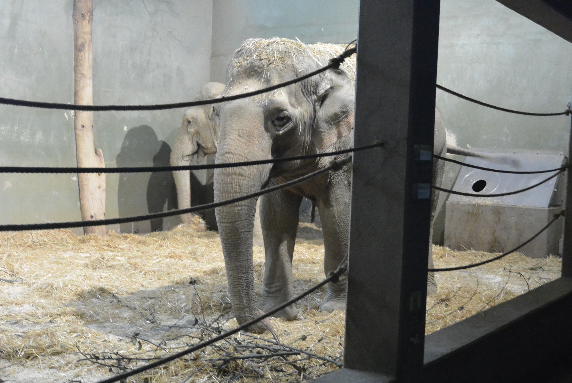 Das A3 Sommerfest fand am 21. Juli 2016 im Zoo Augsburg statt. Foto: B4B WIRTSCHAFTSLEBEN SCHWABEN