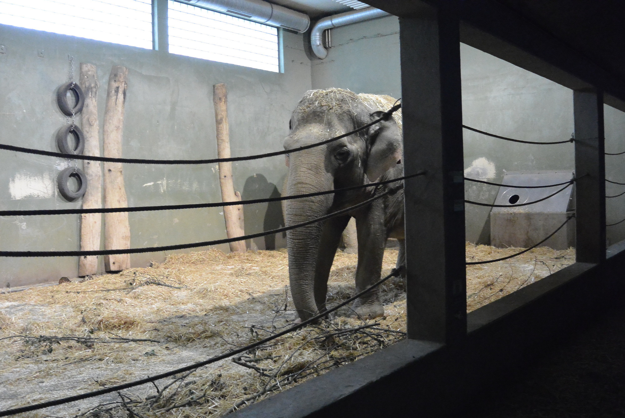 Das A3 Sommerfest fand am 21. Juli 2016 im Zoo Augsburg statt. Foto: B4B WIRTSCHAFTSLEBEN SCHWABEN