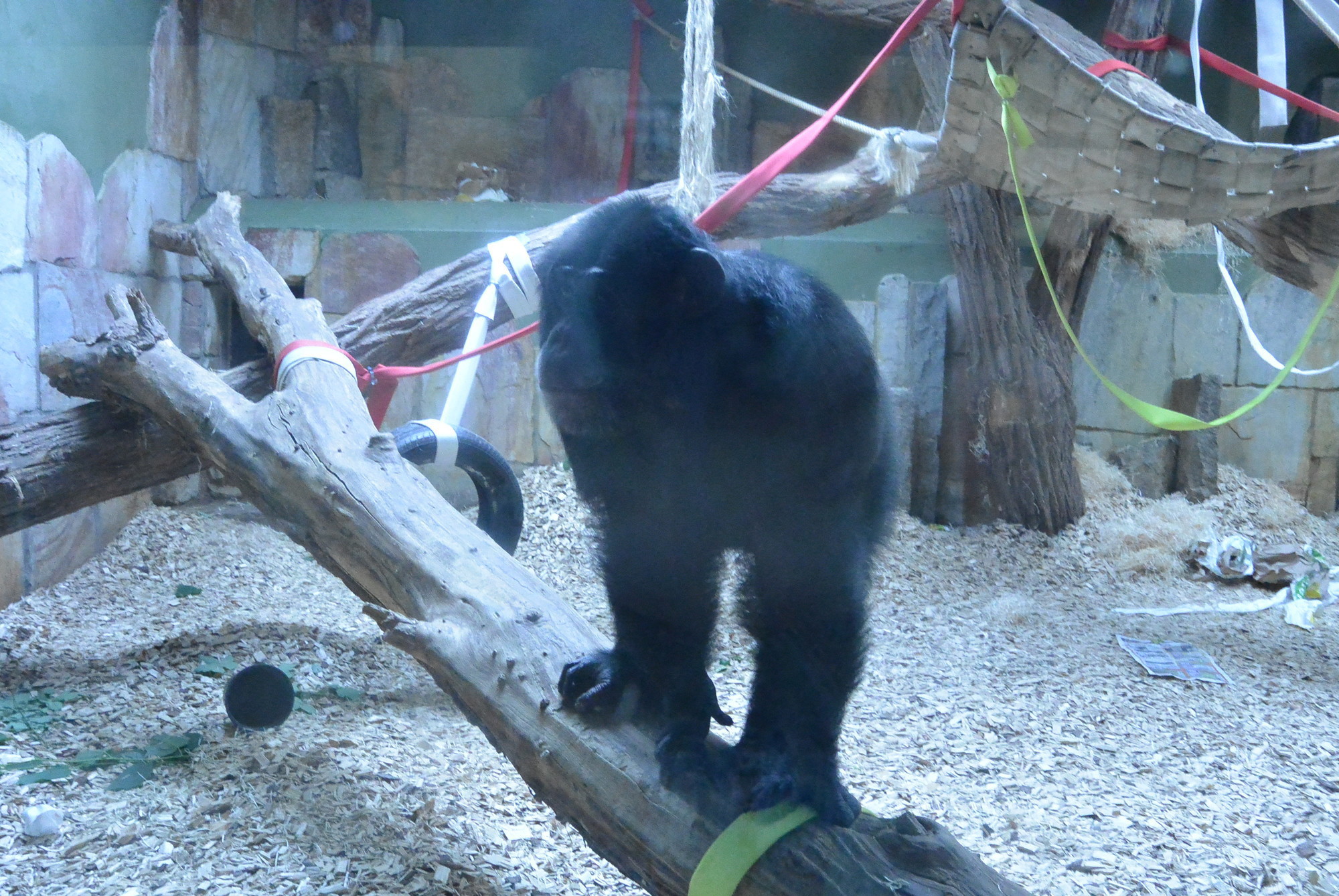 Das A3 Sommerfest fand am 21. Juli 2016 im Zoo Augsburg statt. Foto: B4B WIRTSCHAFTSLEBEN SCHWABEN
