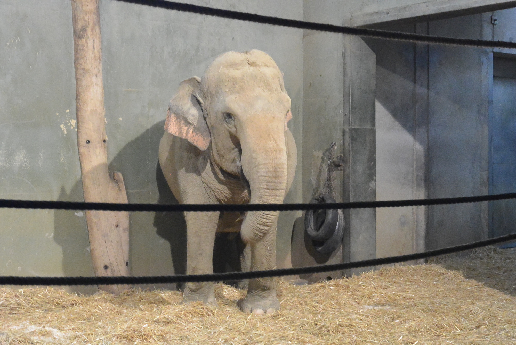 Das A3 Sommerfest fand am 21. Juli 2016 im Zoo Augsburg statt. Foto: B4B WIRTSCHAFTSLEBEN SCHWABEN