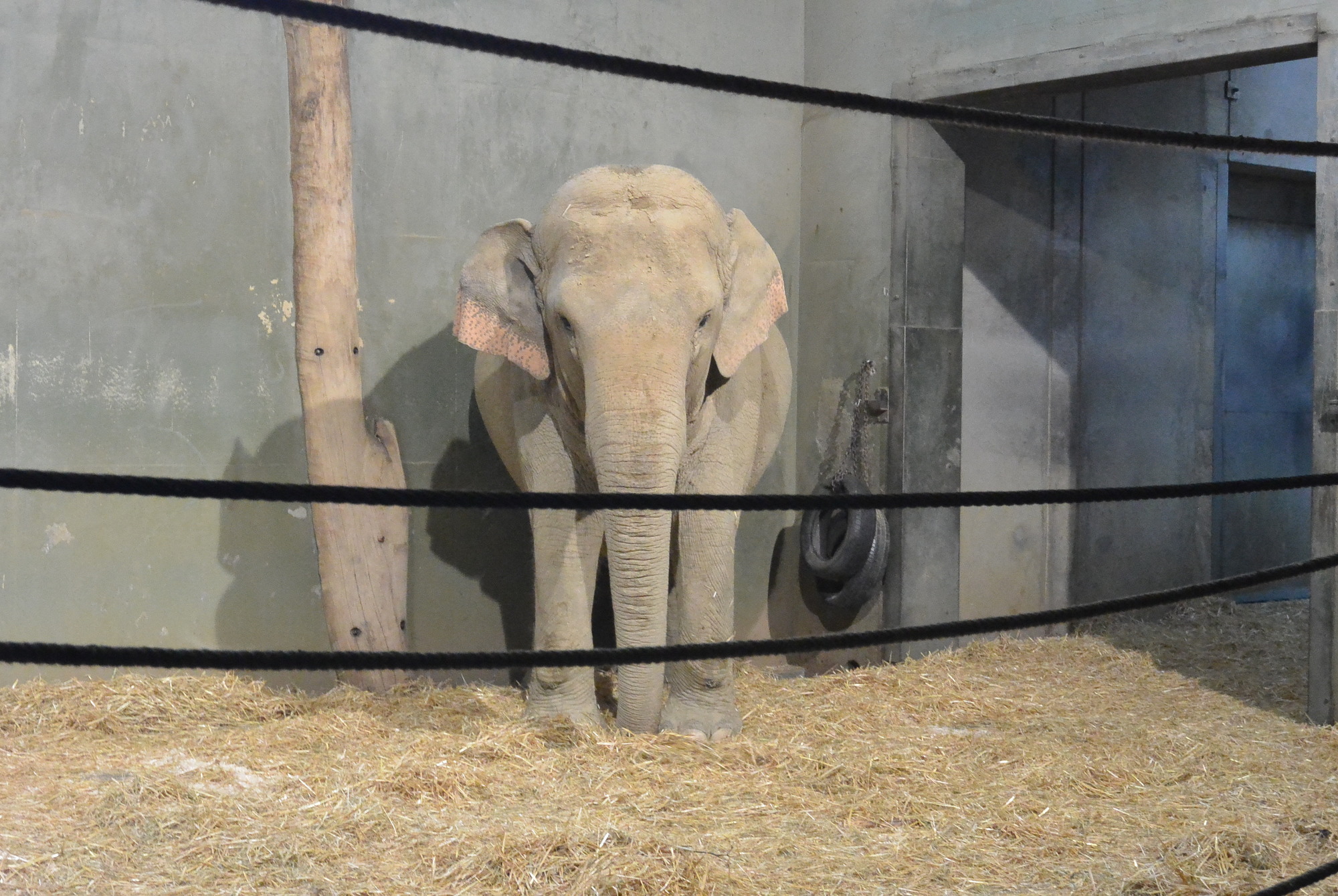 Das A3 Sommerfest fand am 21. Juli 2016 im Zoo Augsburg statt. Foto: B4B WIRTSCHAFTSLEBEN SCHWABEN