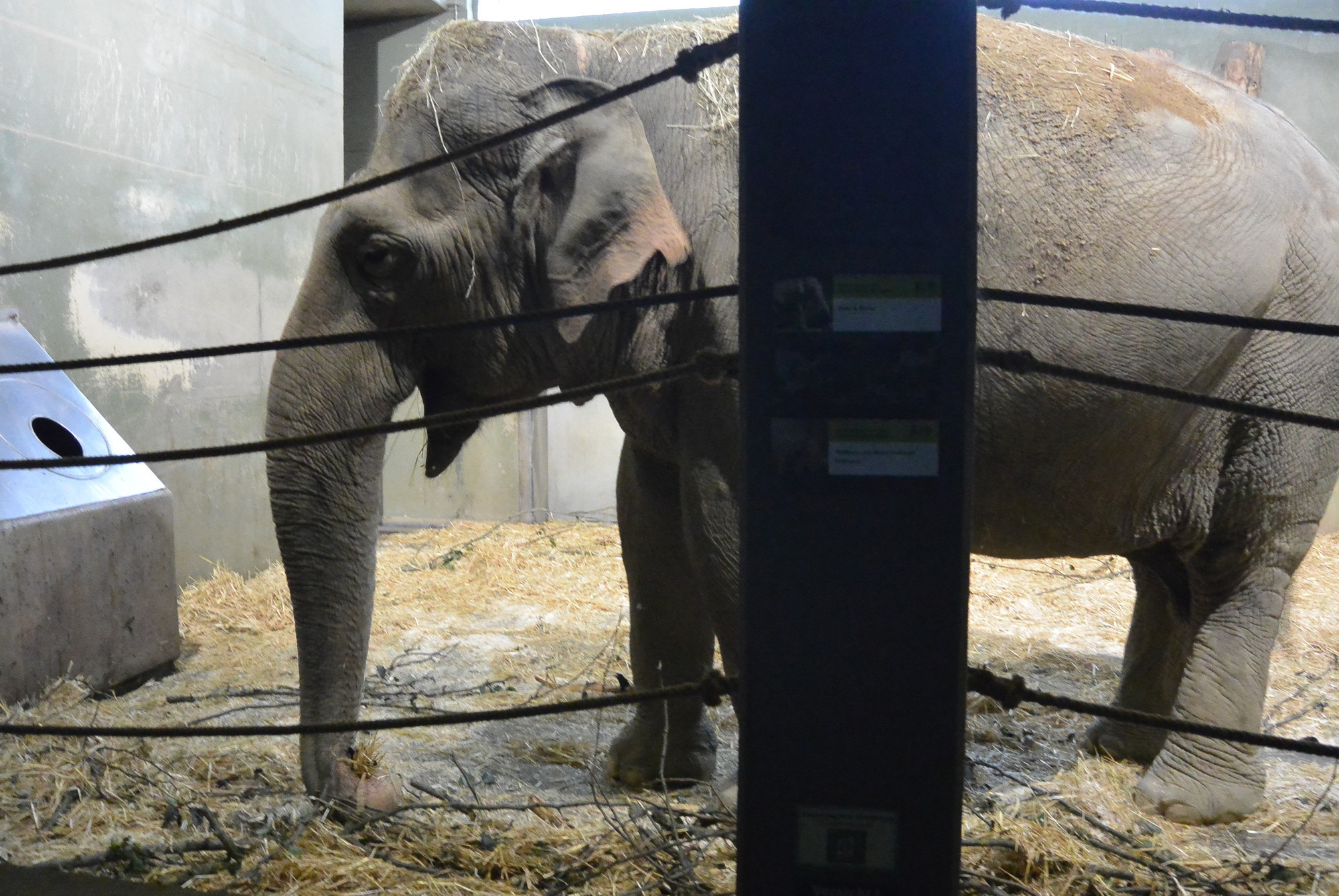 Das A3 Sommerfest fand am 21. Juli 2016 im Zoo Augsburg statt. Foto: B4B WIRTSCHAFTSLEBEN SCHWABEN