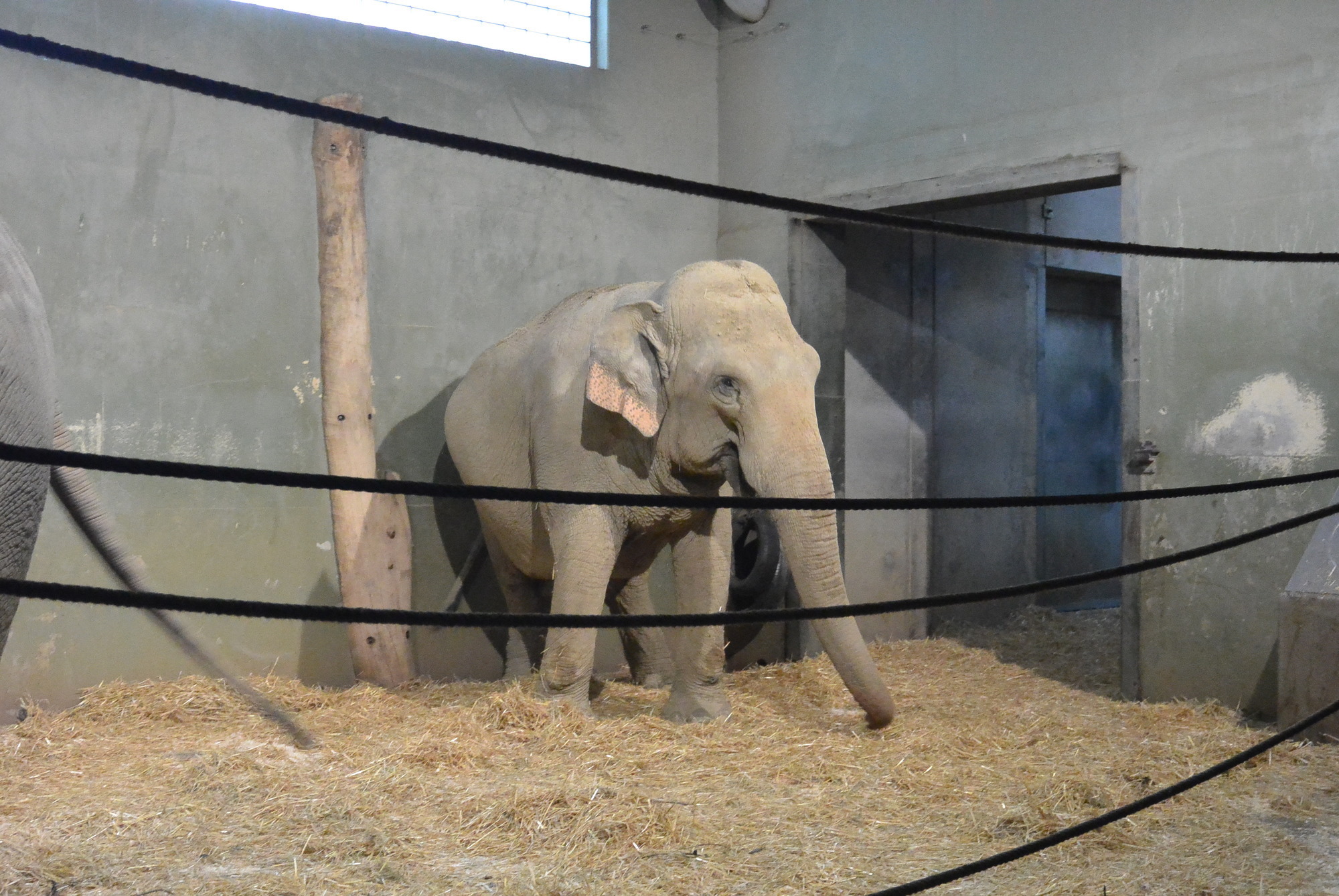 Das A3 Sommerfest fand am 21. Juli 2016 im Zoo Augsburg statt. Foto: B4B WIRTSCHAFTSLEBEN SCHWABEN
